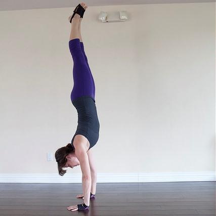 Adho Mukha Vrksasana Handstand Pose by Jessi Danielle